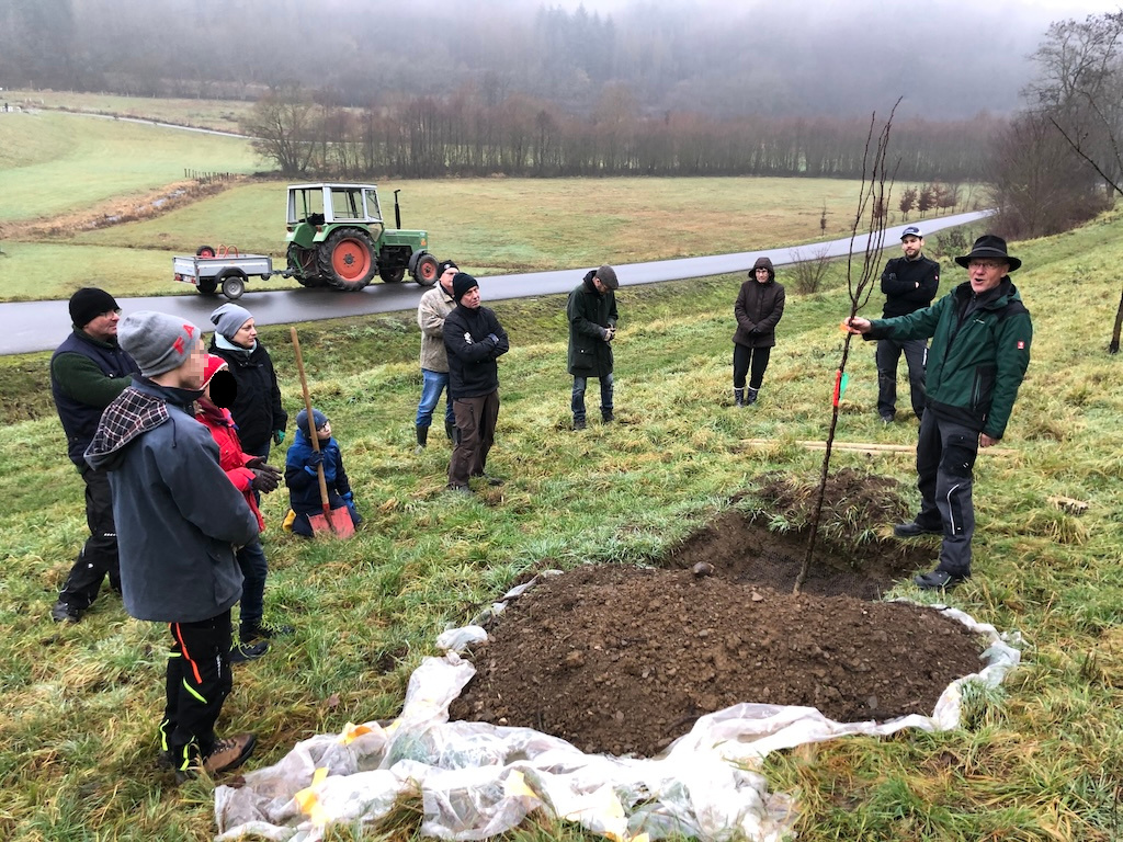 Streuobstwiese am Damm